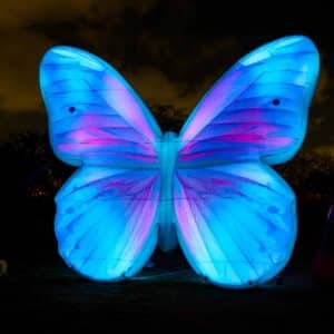 מתנפח תפאורה פרפר - BUTTERFLY